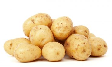 agriculture, food, fresh-72254.jpg